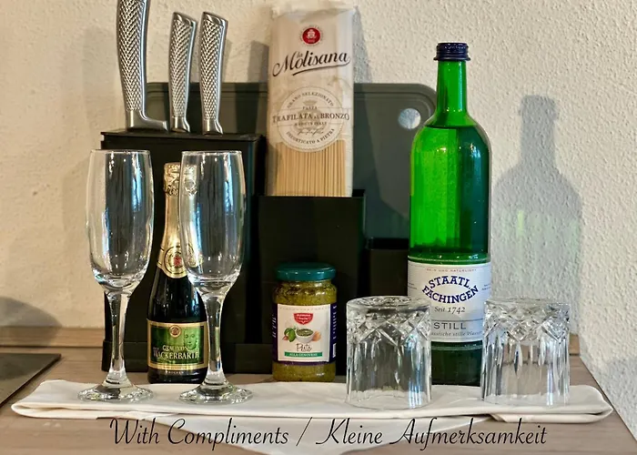 Apartmán Bellevue - Zentrum - Netflix - Parkplatz *